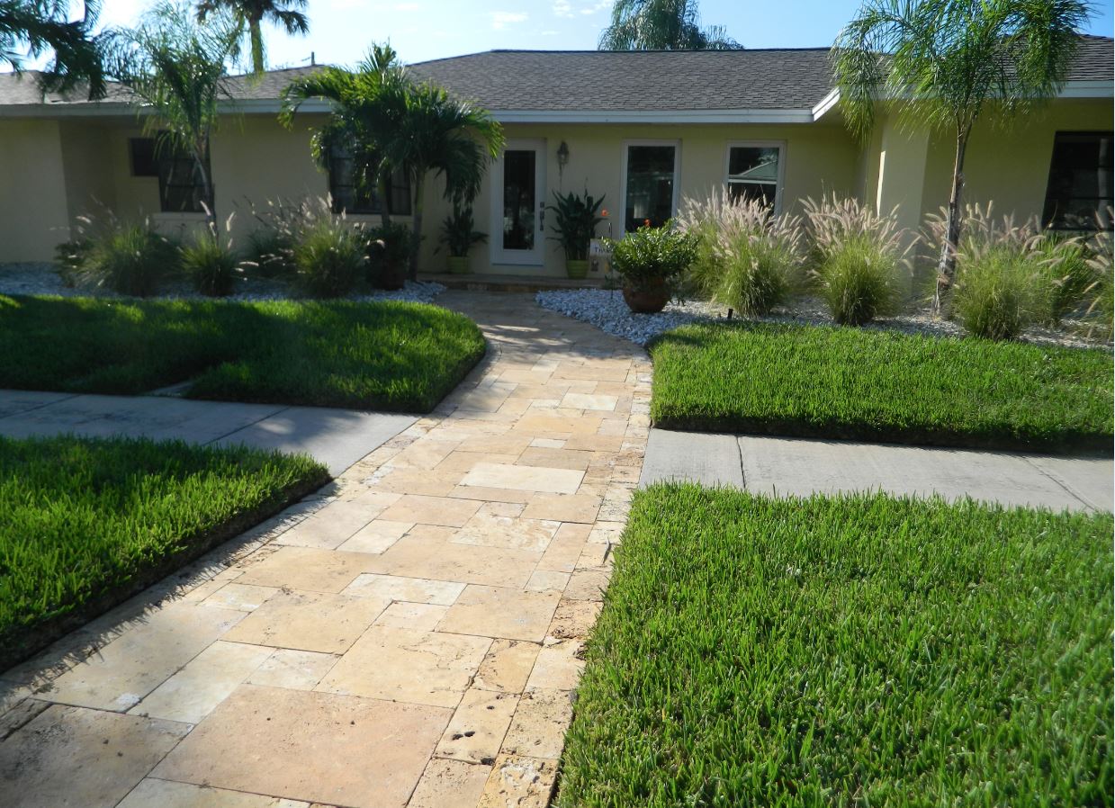Stone walkway leading to house entrance with palms