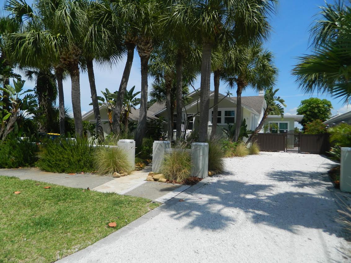 Coastal home with palm trees and driveway